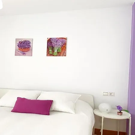 Violeta Lindo Apartamento En Ribeira. * Ribeira